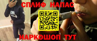 a pvp Новодвинск