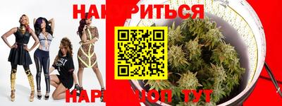 a pvp Новодвинск
