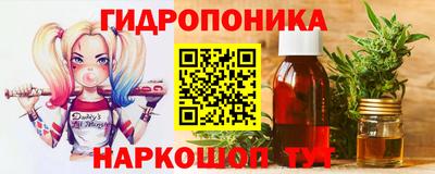 a pvp Новодвинск
