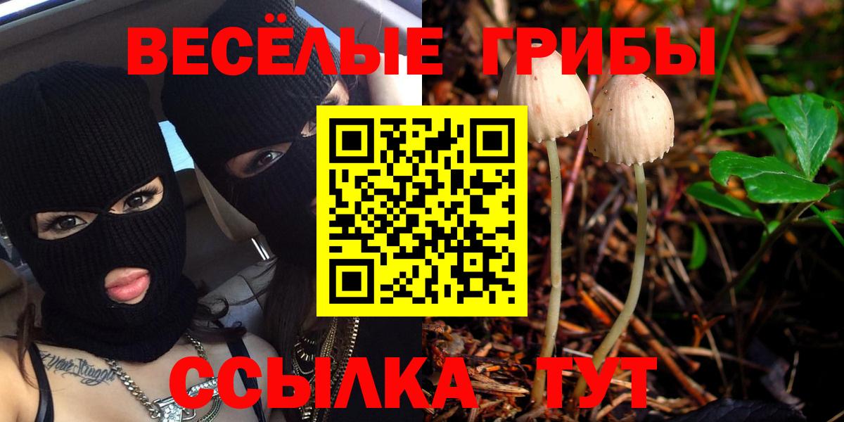 Галлюциногенные грибы GOLDEN TEACHER Сунжа