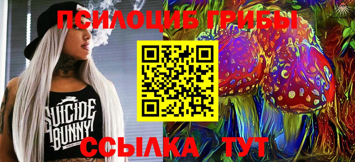 Псилоцибиновые грибы мицелий  Вход с VPN  Сунжа 